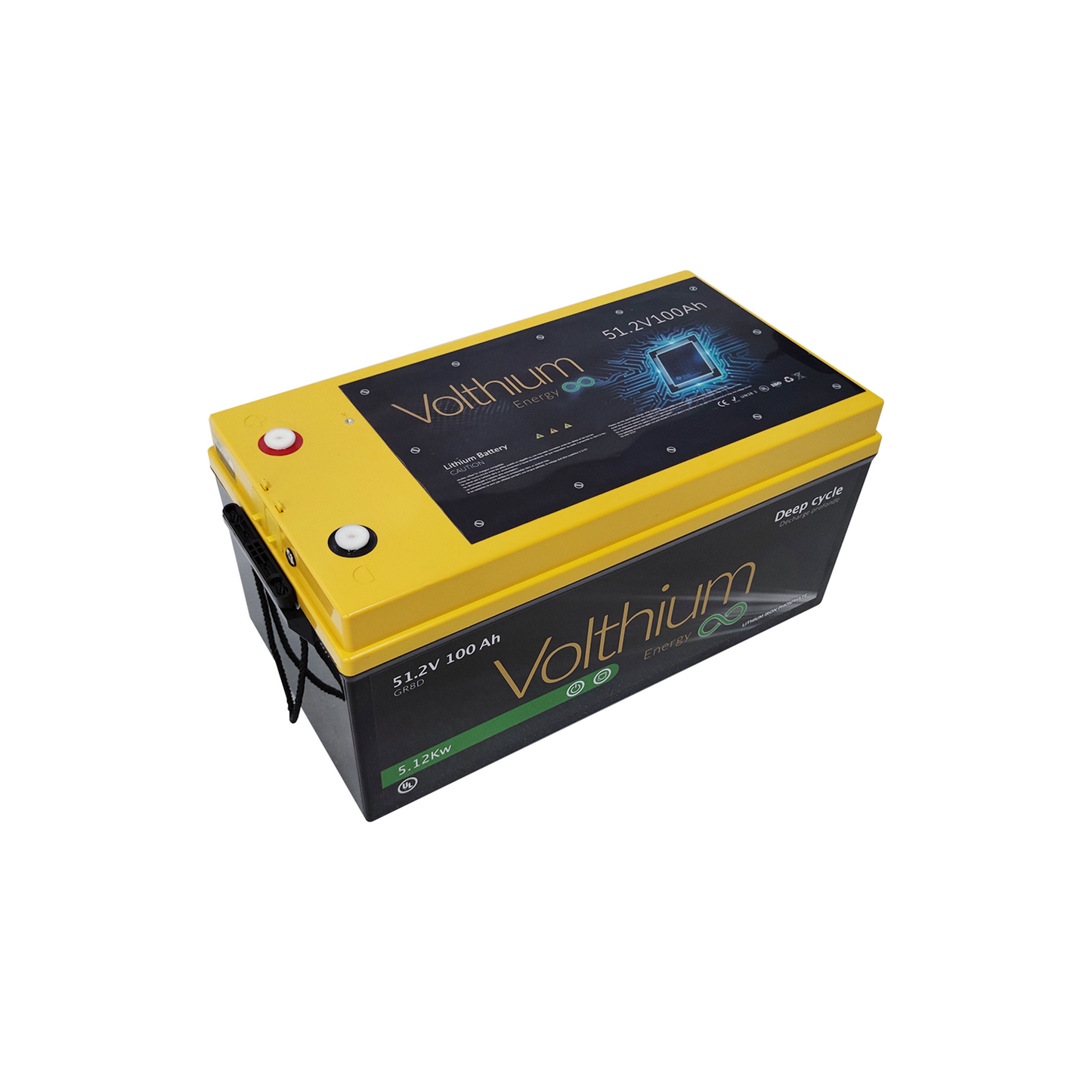 Volthium 51.2V 100AH Battery – 8D