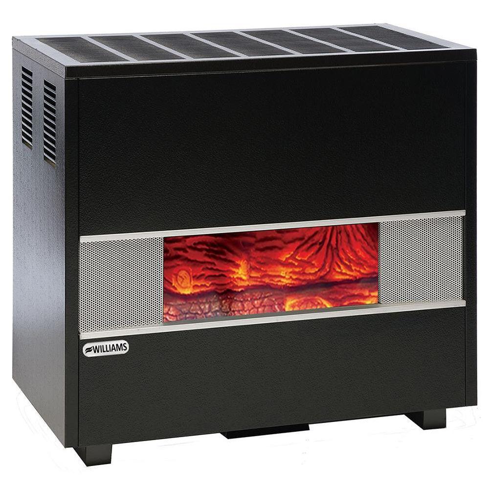 Williams Direct Vent Heater 35,000 BTU