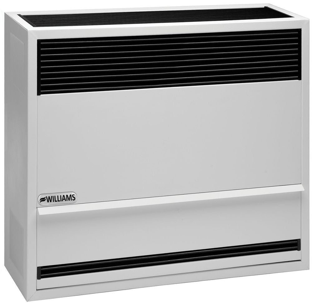 Williams Direct Vent Heater 30,000 BTU
