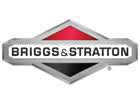 Briggs & Stratton Power Protect