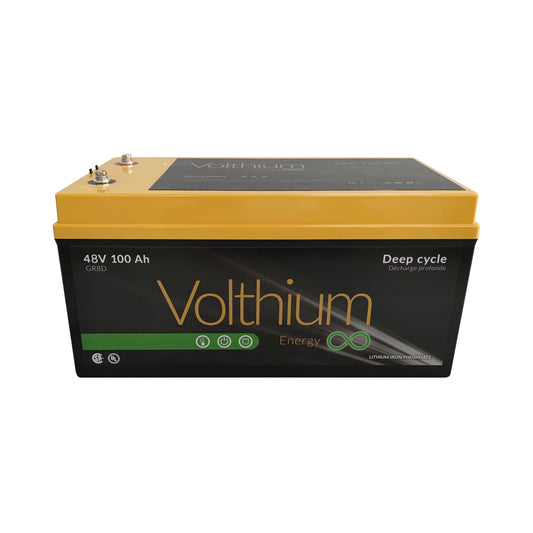 Volthium 48V 100AH Battery SELF-HEATING - 8D