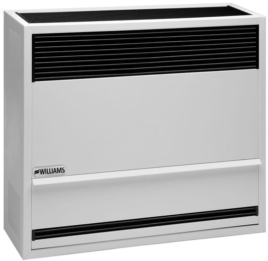 Williams Direct Vent Heater 22,000 BTU