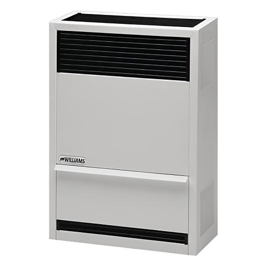 Williams DV 14,000BTU