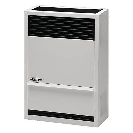 Williams DV 14,000BTU